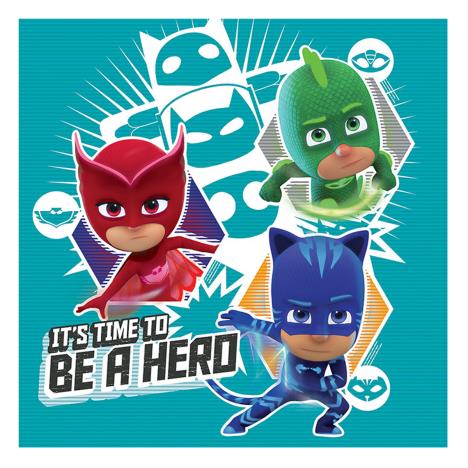 PJ Masks Hero Time Canvas Print (40cm x 40cm) £24.99
